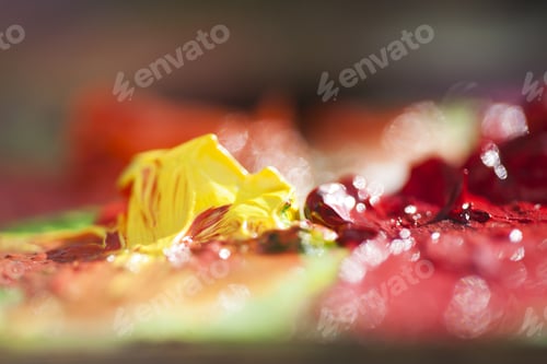 Preview: Abstract Composition With Oil Paint, Soft Focus And Beautiful Bokeh