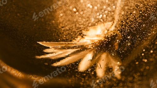 Preview: Abstract Underwater Composition With Dried Flower, Bubbles And Light