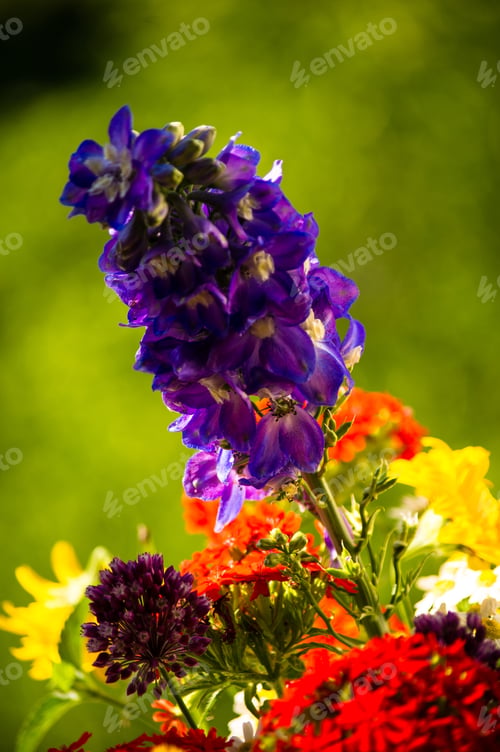 Preview: A Bouquet Of Bright Spring Flowers Of Various Types