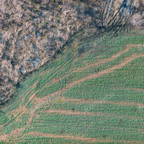 Preview: Aerial View Over The Rural Fields In Late Autumn