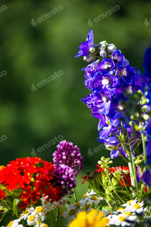 Preview: A Colorful Bouquet Of Bright Spring Flowers Of Various Types, Close-Up
