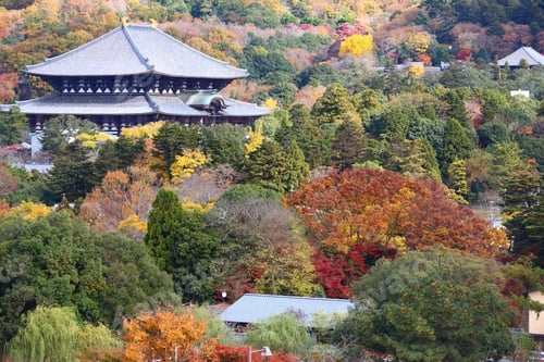 Preview: Todaiji Temple And Autumn Leaves In Nara, Japan.