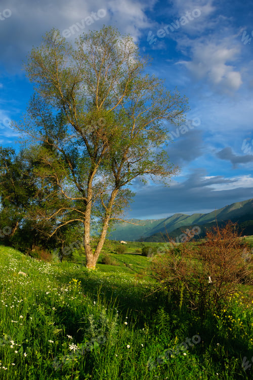 Preview: Scenic Landscape