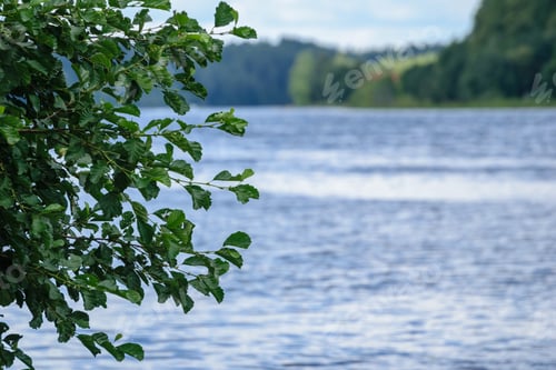 Preview: Colorful Lake River In Countryside In Summer. Nature In Latvia