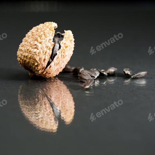 Preview: Sunflower Seeds In Litchi Peels With Black Background