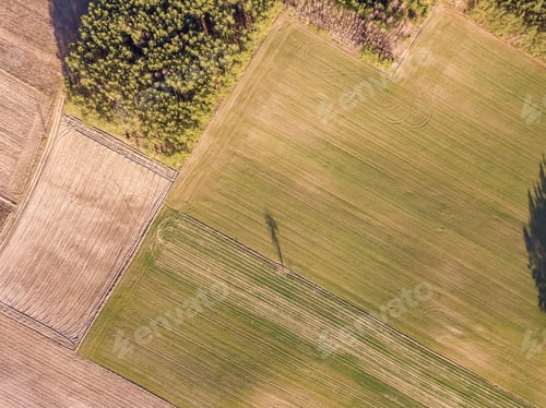 Preview: Drone Landscape With Autumnal Fields. Nature From Above