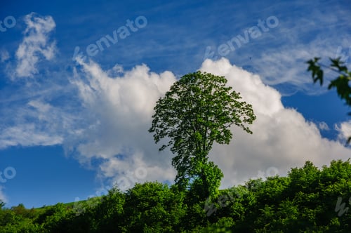 Preview: Landscape With Dramatic Sky, Armenia