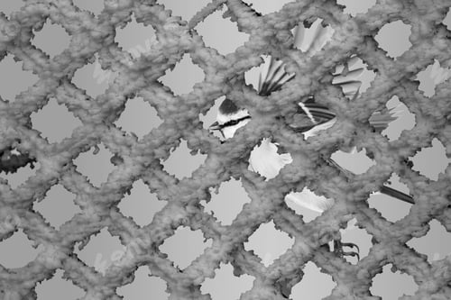 Preview: Black White Abstract Animal Photos.