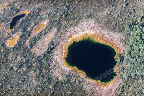 Preview: Aerial View Over The Swamps