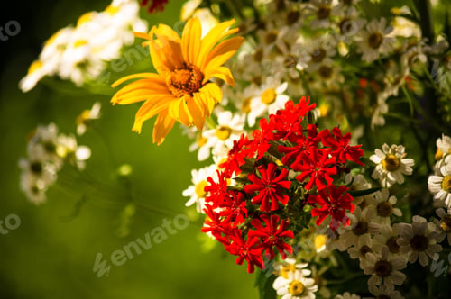 Preview: A Colorful Bouquet Of Bright Spring Flowers Of Various Types, Close-Up