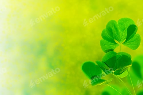 Preview: Green Clover Leaves On A Background Summer Landscape. St.Patrick 'S Day