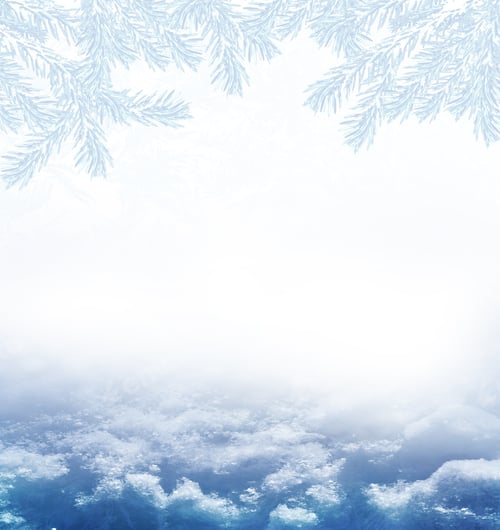 Preview: Christmas Card With Fir Branches. Winter Background.