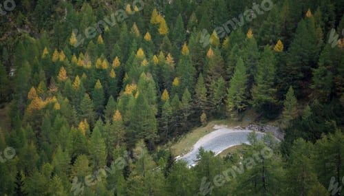 Preview: Golden Larches In The Mountains In Autumn
