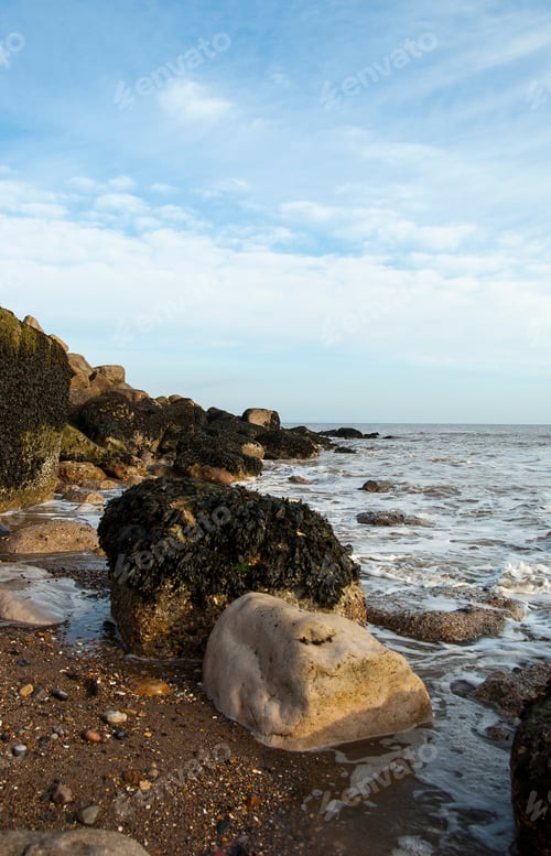 Preview: Rocky Sea Shore Image