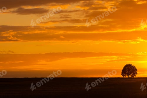 Preview: Beautiful Summer Sunset Sky Over Countryside. Landscape With Orange Sunset Sky Over Filed And Trees.
