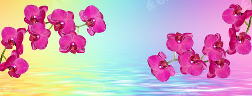 Preview: Colorful Bright Orchid Flowers On A Background Of The Summer Landscape.