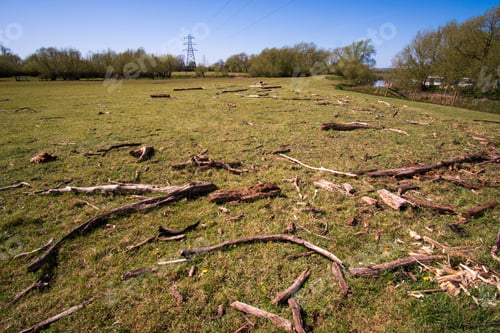 Preview: Driftwood Scattered In A Field After Flooding