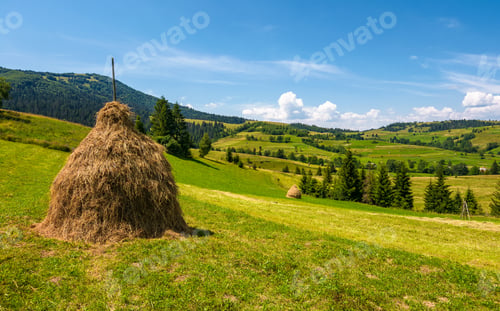 Preview: Haystack On A Grassy Rural Field In Mountains. Beautiful Countryside Landscape With Forested Hills