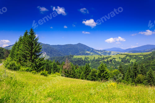 Preview: Green Meadow With Trees In Front Of A Mountain View On Serene Summer Day