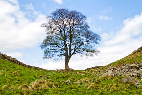 Preview: Rolling Green Farm Fields, Moors And Pastures At Hadrian'S Wall. Colorful Panorama Over The