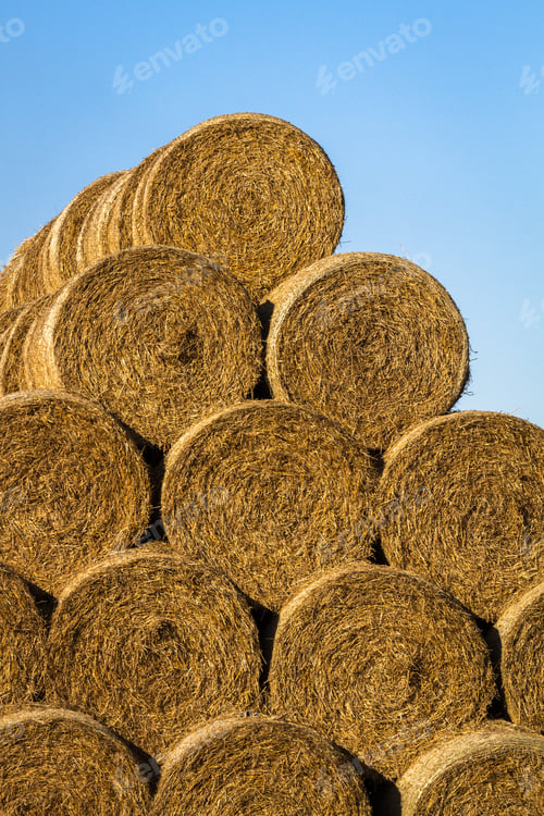 Preview: Hay Roll Stack On The Field