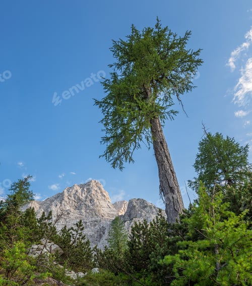 Preview: Beautiful Landscape On The Way From Mountain Pass Vrsic To Slemenova Spica With Mount Jalovec