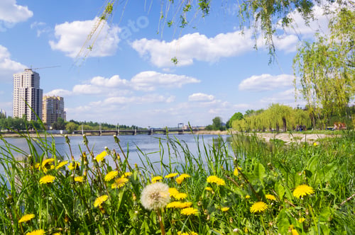 Preview: City Park Spring - Blooming Dandelions, Green Grass, River, Blurred Background