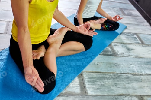 Preview: Two Women Doing Yoga on Blue Mat