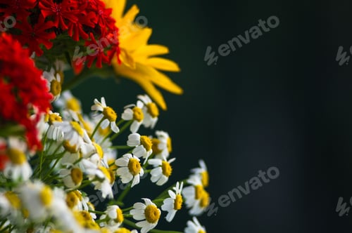 Preview: A Bouquet Of Bright Spring Flowers Of Various Types
