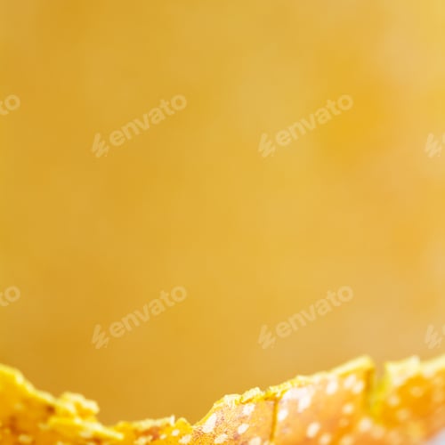 Preview: Dried Granadilla Peel - Abstract Composition And Texture