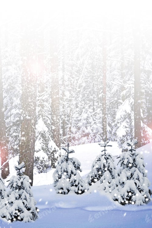 Preview: Winter Landscape
