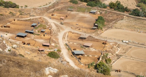 Preview: Aerial View Of A Horse Training Farm With Beautiful Horses Feeding.