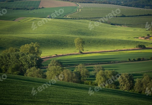 Preview: Beautiful Landscape Of South Moravia