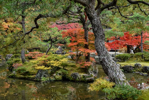 Preview: Autumn Landscape In Kyoto, Japan.