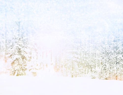 Preview: Blurred Christmas Background. Frozen Winter Forest With Snow Covered Trees.