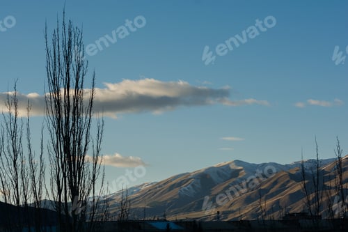 Preview: Silhouettes Of Trees Against Cloudy Blue Sky Background