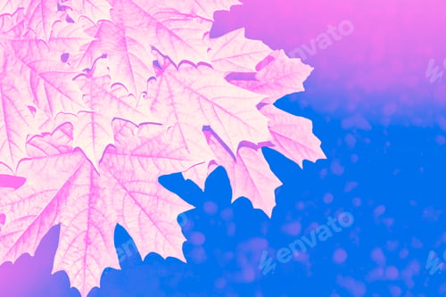 Preview: Autumn Landscape With Bright Colorful Leaves. Indian Summer.