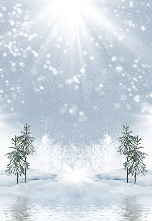 Preview: Winter Landscape. Winter Forest