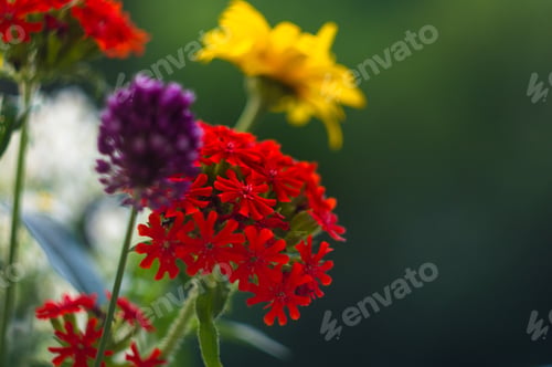 Preview: A Bouquet Of Bright Spring Flowers Of Various Types