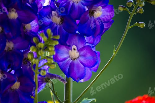 Preview: A Bouquet Of Bright Spring Flowers Of Various Types