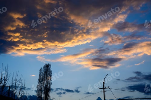Preview: Altocumulus Clouds Illuminated By Sunset And Tree Silhouettes
