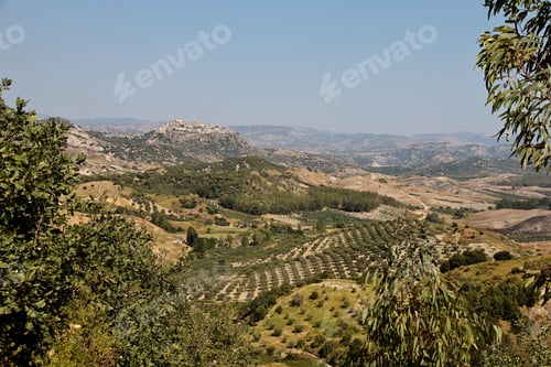 Preview: The Beauty Of The Spring In Calabria, Italy