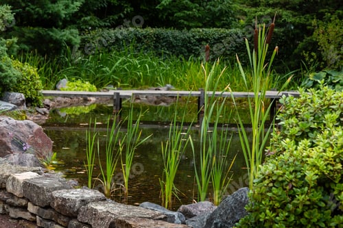 Preview: Pond In The Garden Or Park. Landscape Design.