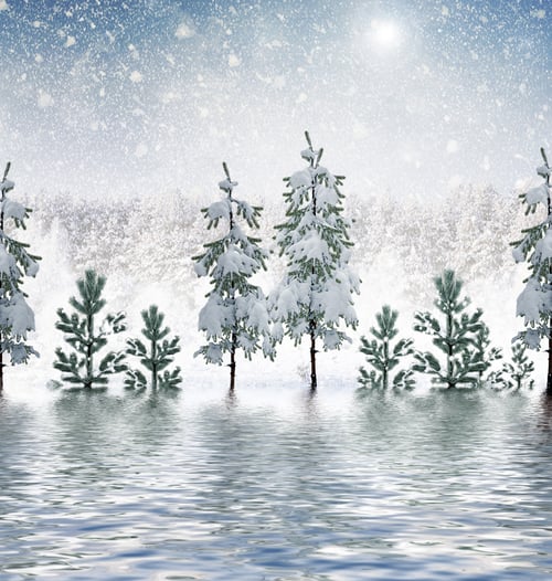 Preview: Winter Forest. Winter Landscape.