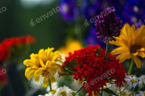 Preview: A Bouquet Of Bright Spring Flowers Of Various Types