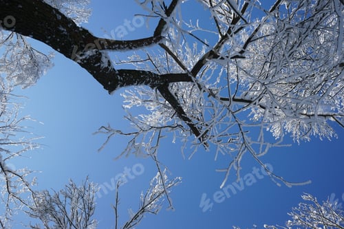 Preview: Winter Landscape In The Park In A Cold, But Sunny Day. High Resolution And Beautiful Snow Details