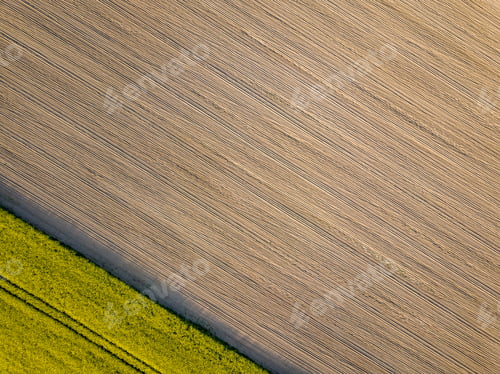 Preview: Drone Image. Aerial View Of Rural Area With Cultivated Fields Of Rape Seed In Sunny Spring Day