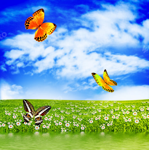 Preview: Meadow With Green Grass On A Background Of Blue Sky With Clouds