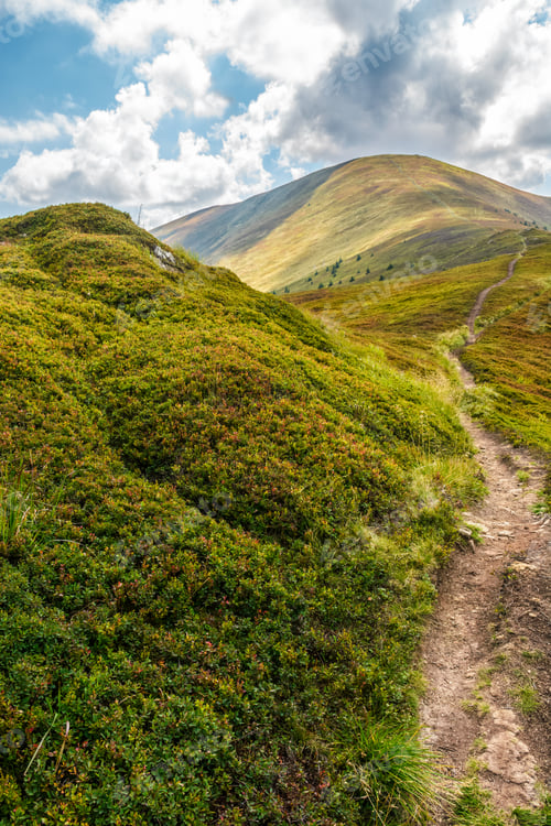 Preview: Narrow Path Through A Meadow Down The Mountain Ridge To The Rural Valley