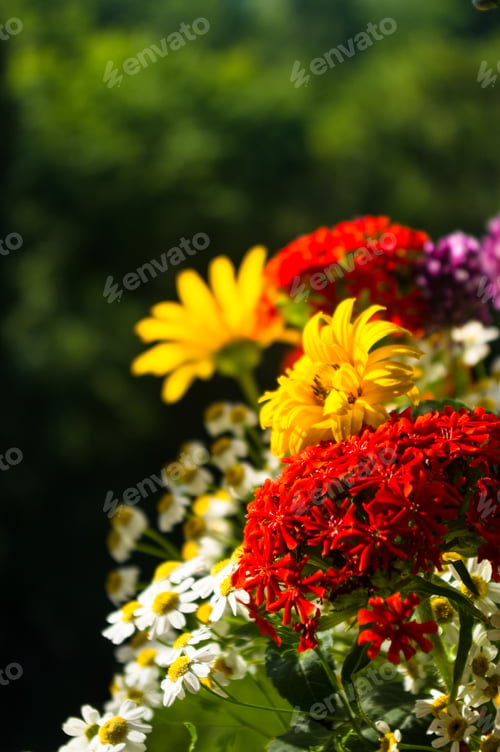 Preview: A Bouquet Of Bright Spring Flowers Of Various Types
